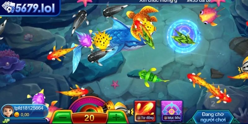 Những bí quyết săn sinh vật hiệu quả cho newbie