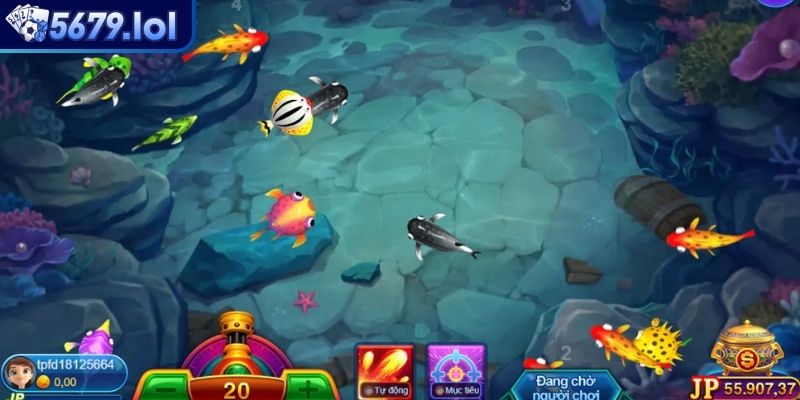 Tích điểm bằng cách bắn cá lẻ